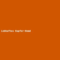 Lebhaftes Kupfer-Hemd